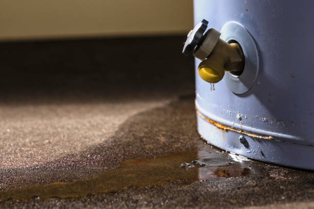 Water damage restoration process in Lakewood, OH