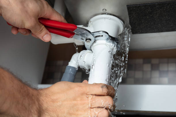 Best Flood restoration services  in Lakewood, OH