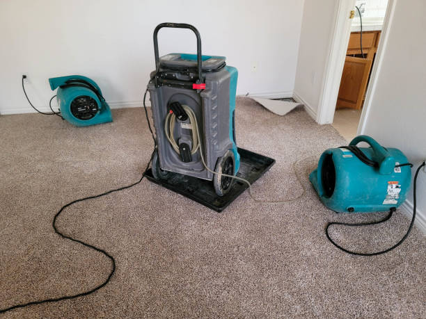 Best Local water damage restoration  in Lakewood, OH