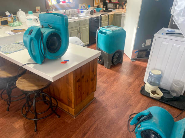Best Residential water damage restoration  in Lakewood, OH