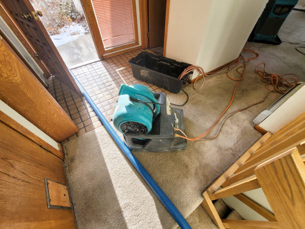 Best Mold removal after water damage  in Lakewood, OH