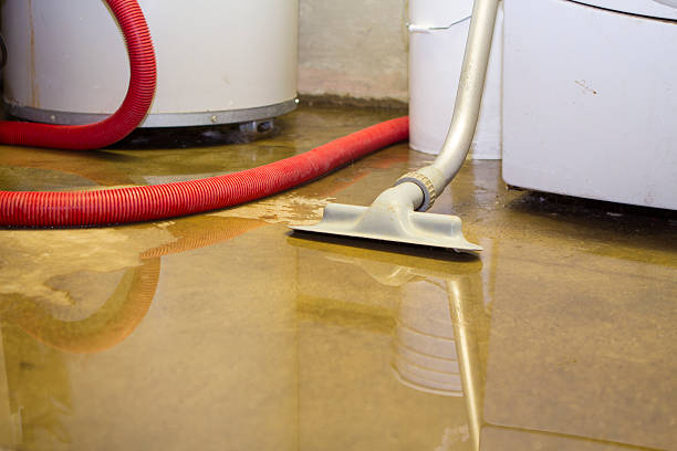 Best 24/7 water damage repair  in Lakewood, OH