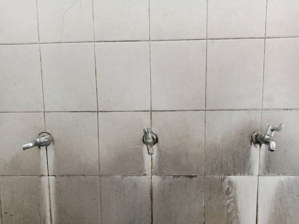 Best Flood damage cleanup  in Lakewood, OH