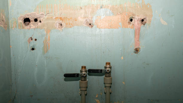 Best Local water damage restoration  in Lakewood, OH