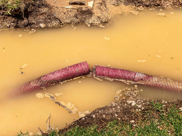 Best Water damage contractors near me  in Lakewood, OH