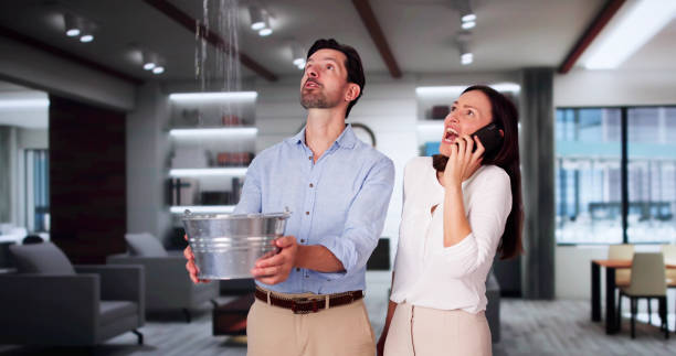 Best Water damage restoration near me  in Lakewood, OH