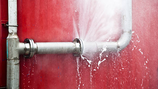 Best Ceiling water damage repair  in Lakewood, OH