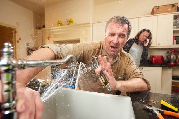 Best Water damage cleanup near me  in Lakewood, OH